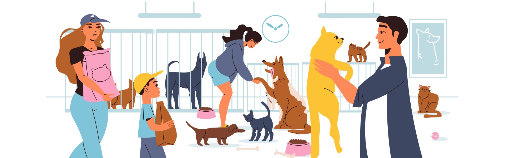 Top 10 Pedigree Cats You Can Find in a Shelter
